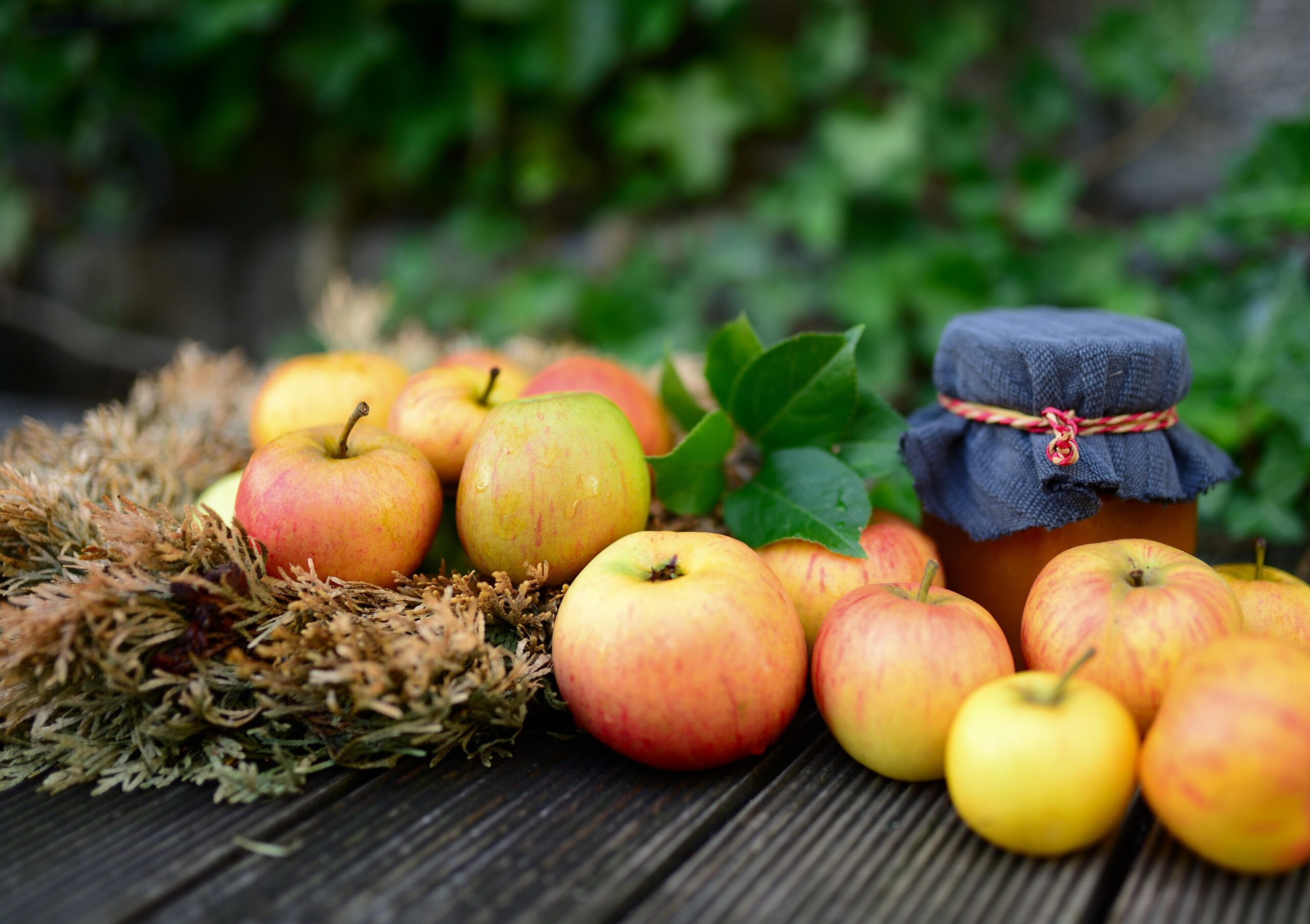 Fête Plaisirs d'Automne