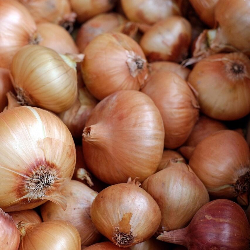 onions, vegetables, white onions, food, healthy, vegetable market, vegetable stand, farmer's market, produce, organic, harvest, fresh, fresh onions, fresh produce, onions, onions, onions, onions, onions, vegetables