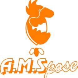 AMSPOSE_logo